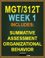MGT312T Week 1 Summative Assessment Organizational Behavior
